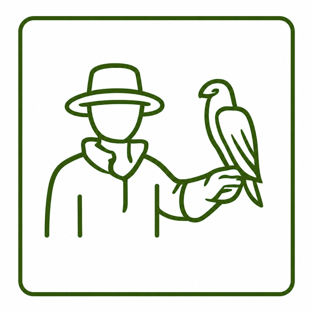 expert falconers national bird of prey centre